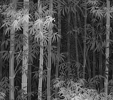 Фотообои бамбук Loymina Landscape ART6 011